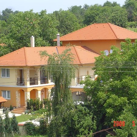 Janus Apartman Sárvár Dış mekan fotoğraf